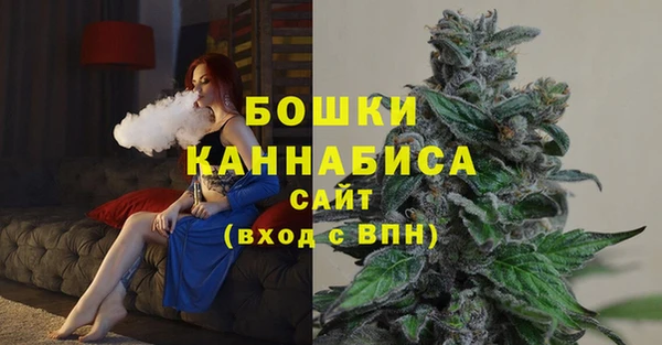 mdpv Белокуриха
