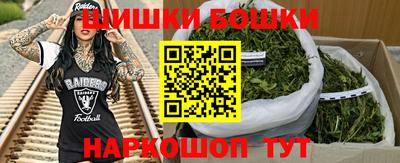 дмт Славгород