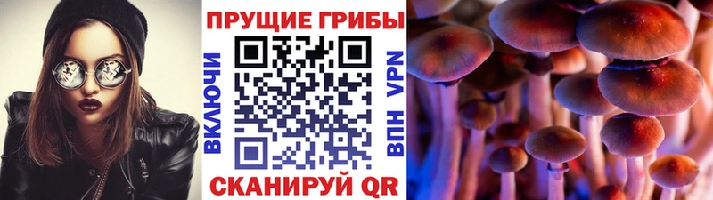 Галлюциногенные грибы Magic Shrooms Печора