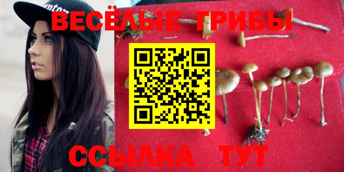 Псилоцибиновые грибы прущие грибы Печора