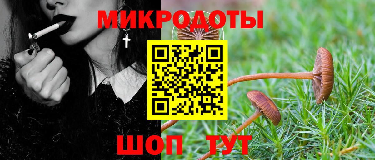 Печора  Галлюциногенные грибы мухоморы  Вход с VPN 